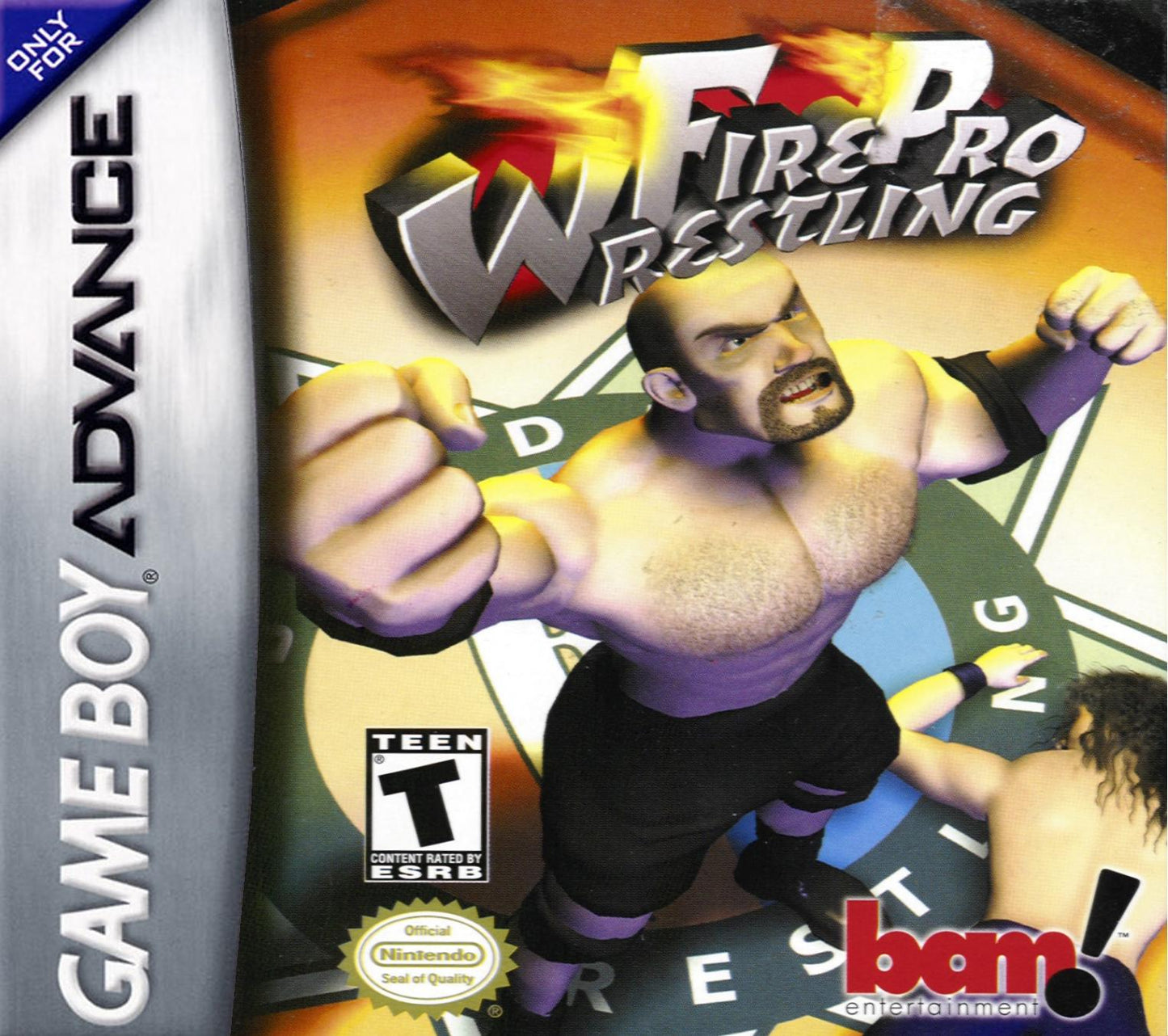 Fire Pro Wrestling (Cosmetically Flawed)