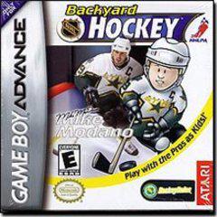 Backyard Hockey (Cosmetically Flawed)